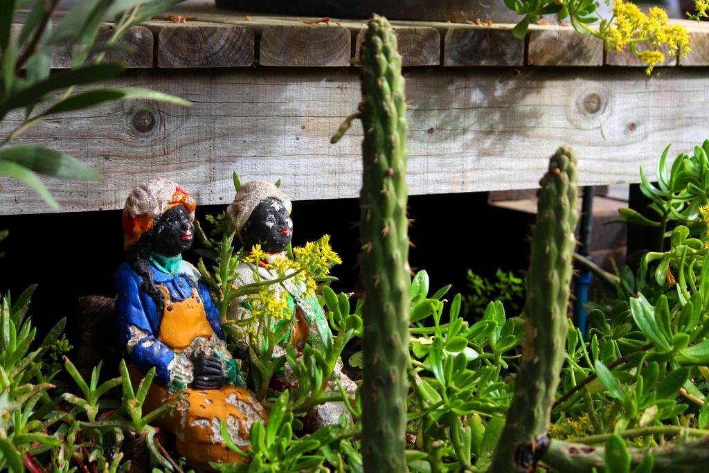 Sirena Insolente Hostel & Suites Pichilemu Εξωτερικό φωτογραφία